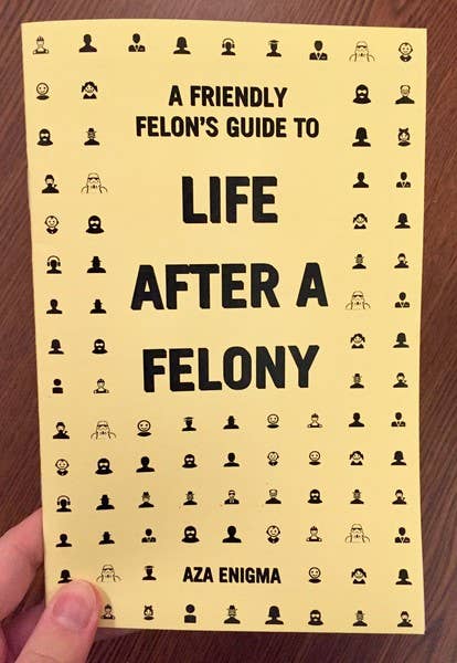 Friendly Felon's Guide to Life After a Felony (Zine)