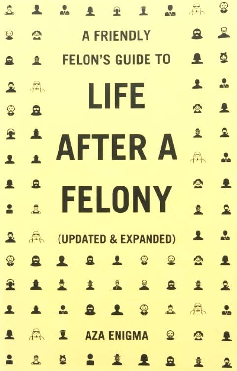 Friendly Felon's Guide to Life After a Felony (Zine)